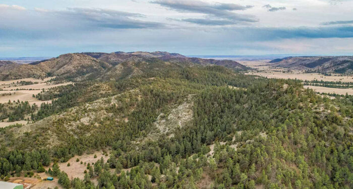 expansive views of timbered mountians