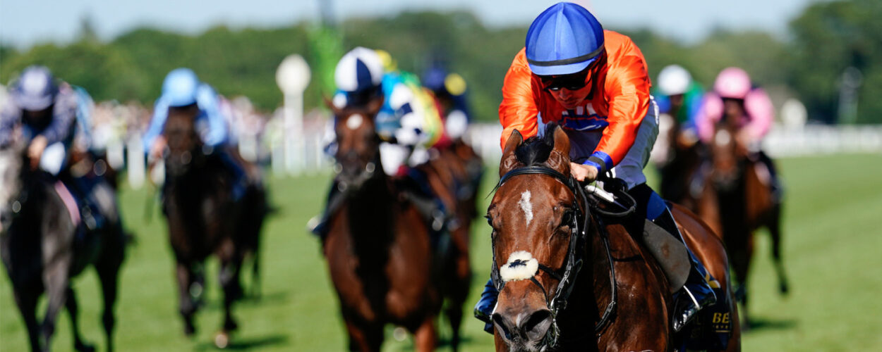 Horse race with Jockey on horse with orange jersey and blue hat