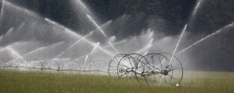 sprinklers spraying on wheeline