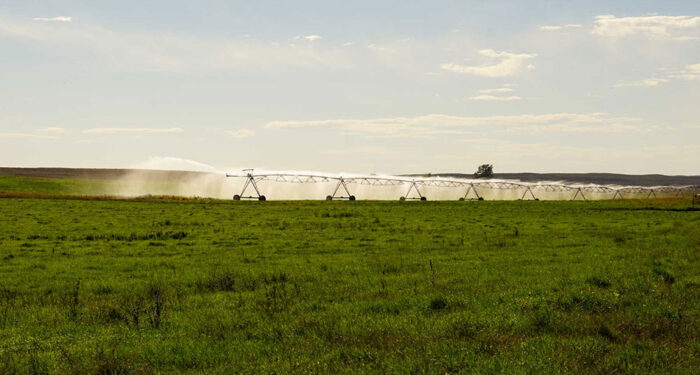 morning pivot with spray on irrigated pasture