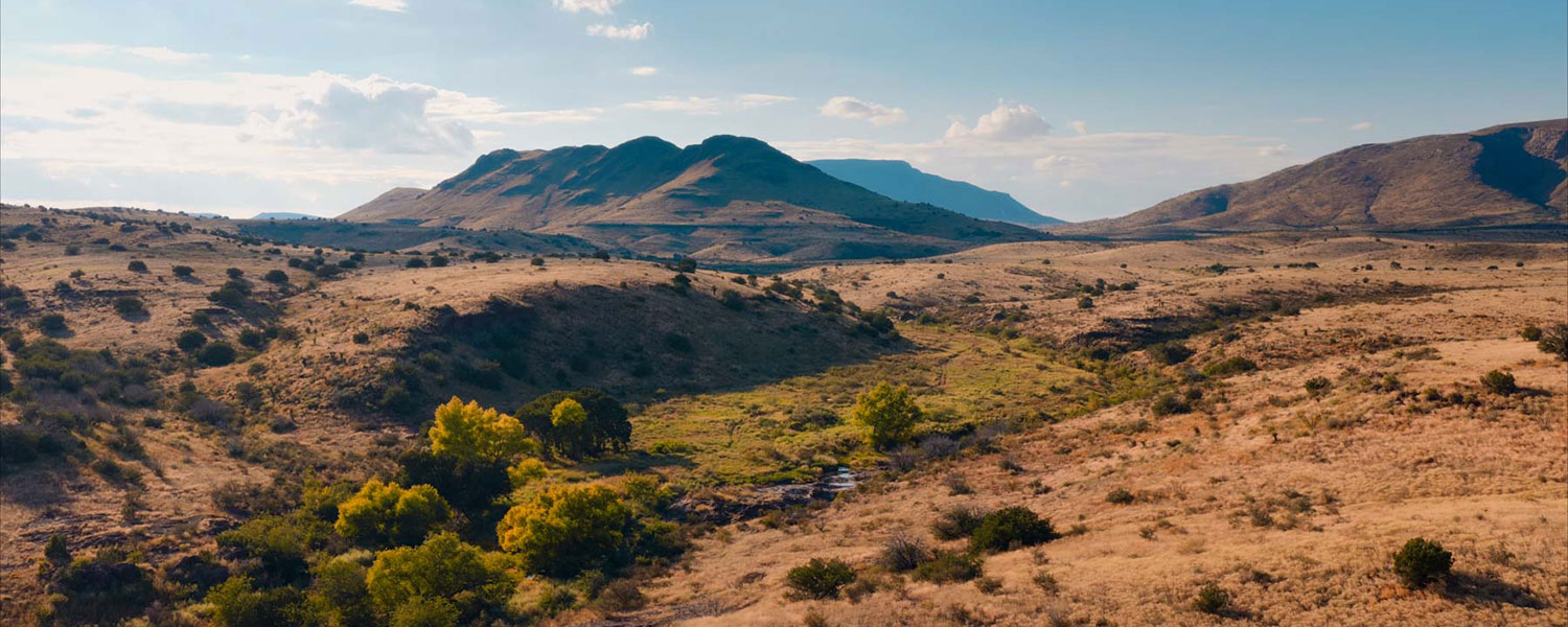 desert scenery in texas with butte in background and creek bed in foreground