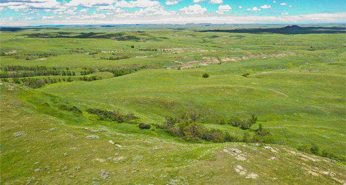 Lush green pasture with gently rolling hills with ravines and clouds