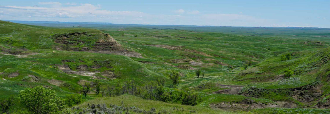green ranch land with rock outcroppings