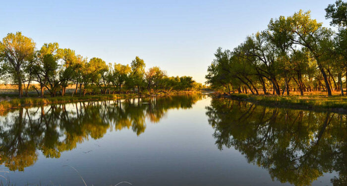 deciduous tree lined open expanse of water