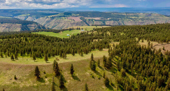 overview of plateau with coniferous trees and vistas of a cloud-filled sky with mountains and a river ravine