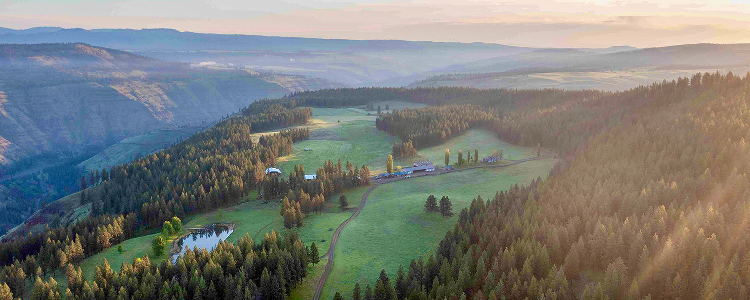foggy morning with vista of green meadowed plateau and surrounding coniferous forest with distant mountains