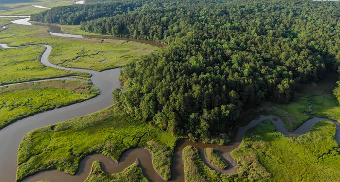 Wooded area with curving river surrounded by green grass