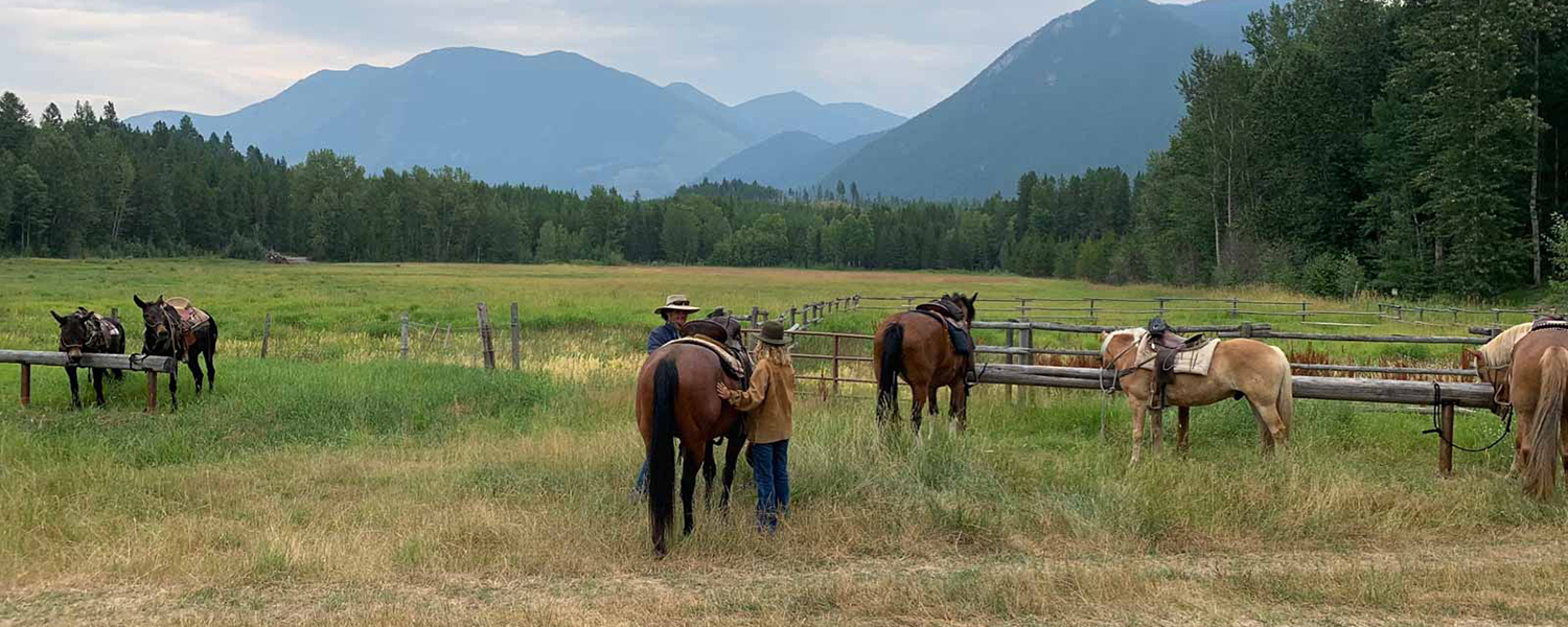 saddling horses on a mountain meadow ranch for sale near Glacier National Park