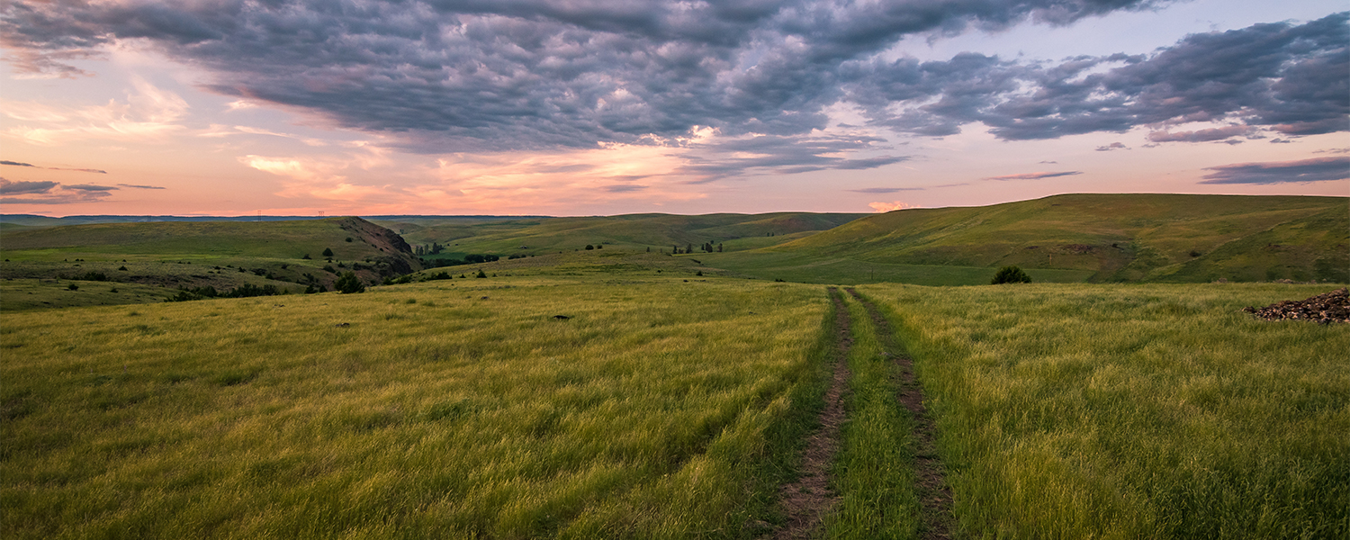 vista with two-track on the side of a moutnain pasture dropping over a hill with pink and purple sunset and clouds in sky