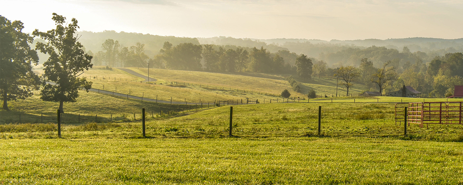 foggy farm pasture hillside with post and barbed wire fence in foreground