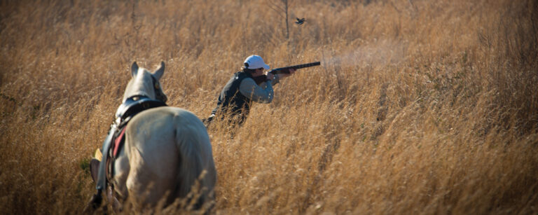 man in field of fall grain taking a shot with white horse standing behind him and a startled songbird taking flight