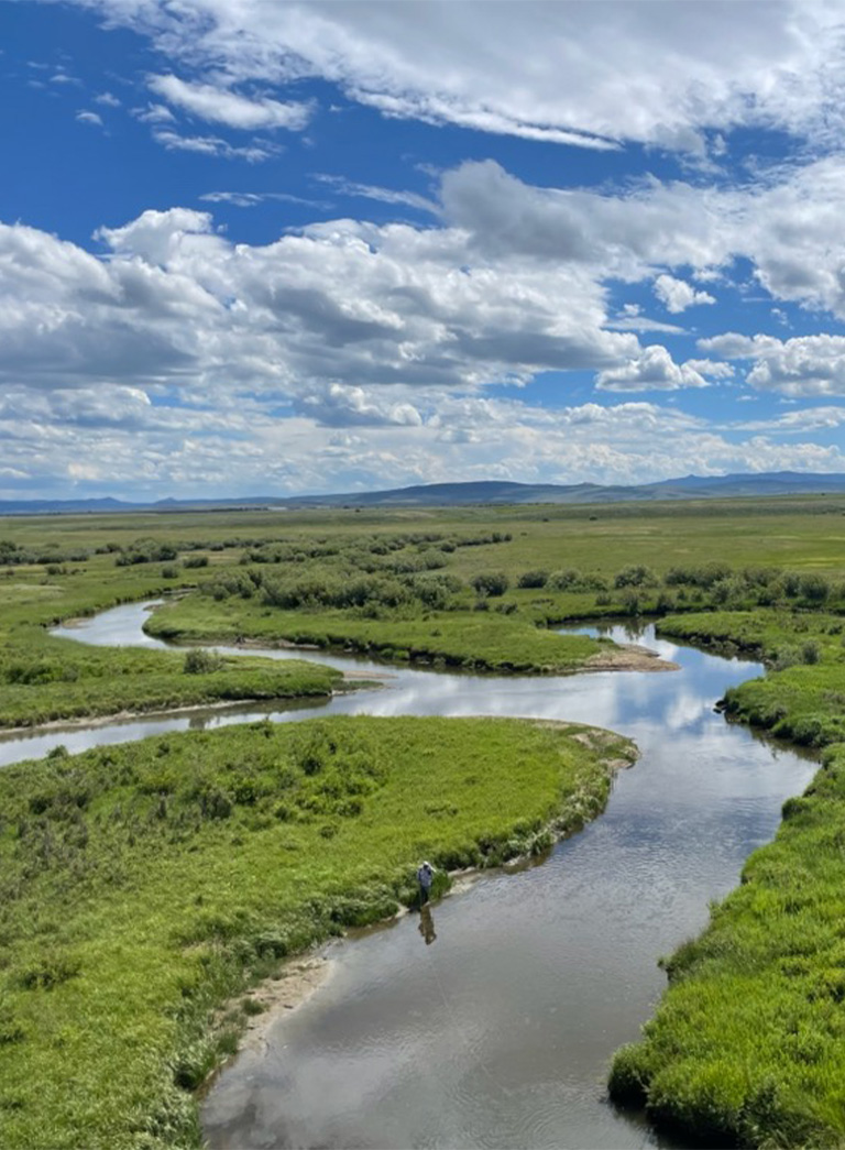 curving river through green pasture