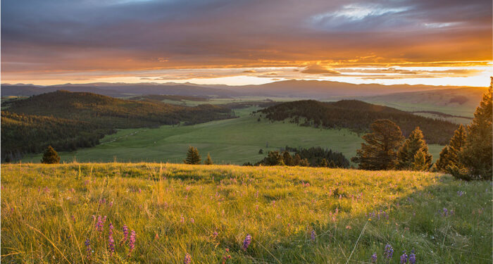 Gorgeous sunset over the mountains with lush pastures